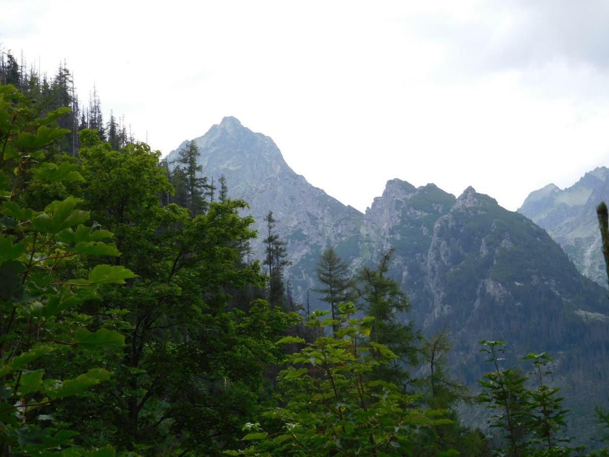 High Tatras - Patris 27 Διαμέρισμα Tatranska Strba Εξωτερικό φωτογραφία