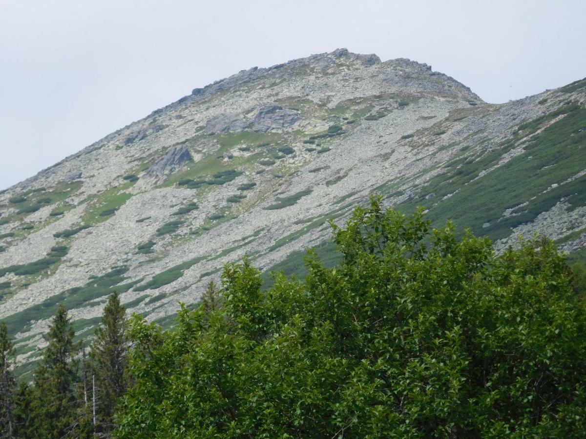 High Tatras - Patris 27 Διαμέρισμα Tatranska Strba Εξωτερικό φωτογραφία