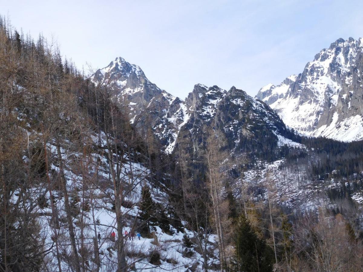 High Tatras - Patris 27 Διαμέρισμα Tatranska Strba Εξωτερικό φωτογραφία